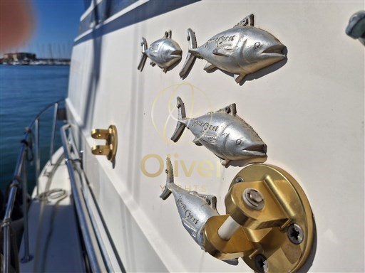 Immagine WhatsApp 2025-10-11 ore 10.33.44_2846ea43