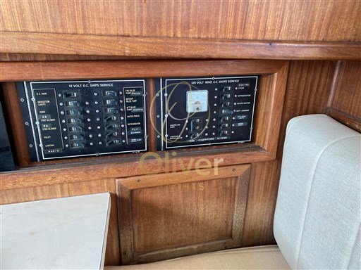 Immagine WhatsApp 2025-10-11 ore 08.42.33_afe7624b