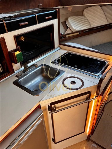 Immagine WhatsApp 2025-10-11 ore 08.42.34_6ceac3ae