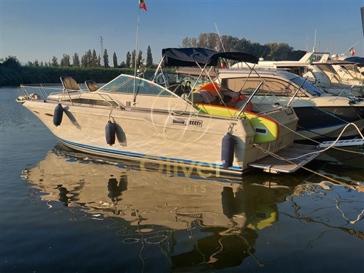 Sea Ray 300 Da
