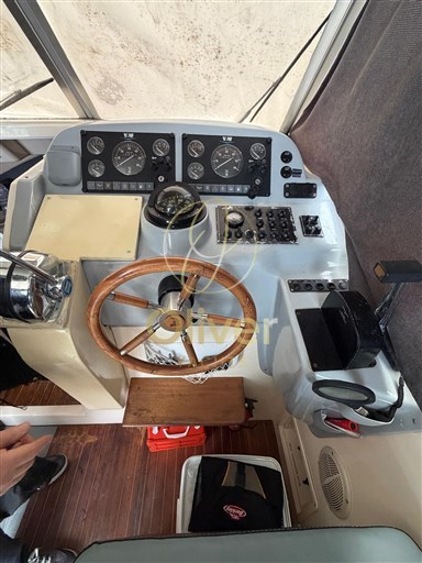 WhatsApp Image 2026-02-07 at 12.30.25