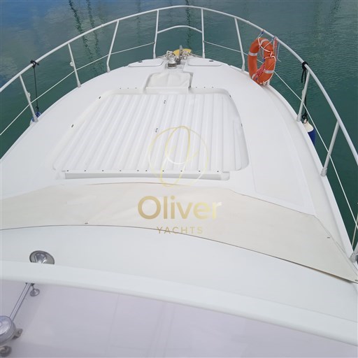 Immagine WhatsApp 2024-06-24 ore 08.40.46_cb348b62