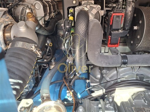 Immagine WhatsApp 2025-07-05 ore 15.43.26_d95f40cf