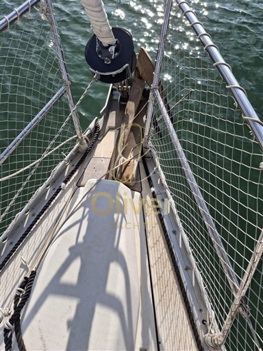 Immagine WhatsApp 2025-09-30 ore 19.07.06_af19d97a