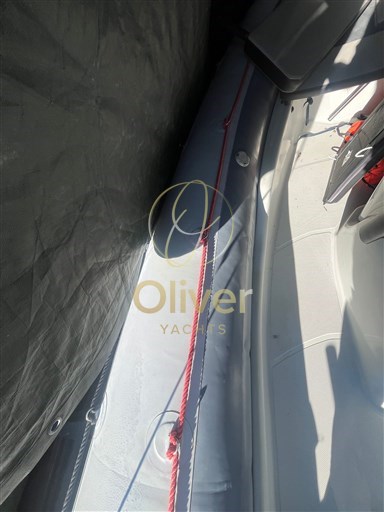 Immagine WhatsApp 2025-12-06 ore 10.57.49_3f4c6d16