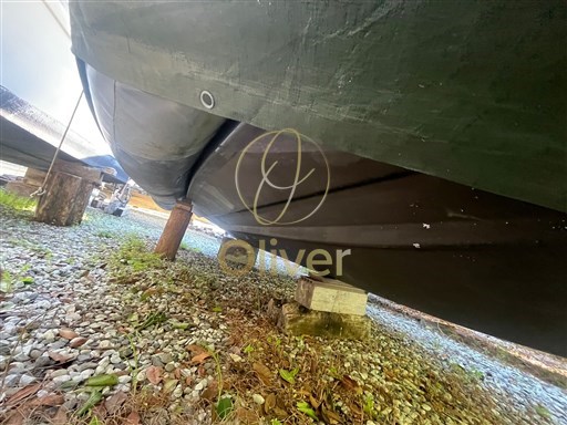 Immagine WhatsApp 2025-12-06 ore 10.57.51_8a2bd6a4