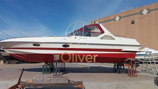 Immagine WhatsApp 2025-03-15 ore 16.43.49_7cd5855a