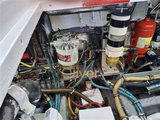 Immagine WhatsApp 2025-11-06 ore 16.00.42_af8f9407