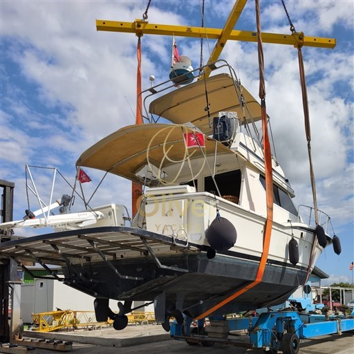 Immagine WhatsApp 2025-11-06 ore 12.27.48_02b457dc