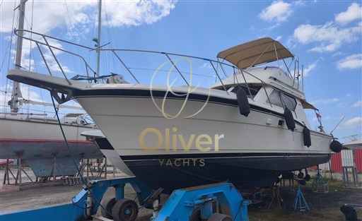 Immagine WhatsApp 2025-11-06 ore 12.27.55_c1d8d6a5