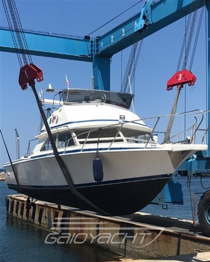 Bertram Yacht 28' Sf