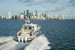 [E] Tom_King-2400-800px.JPG