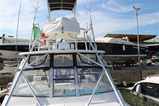PROLINE 33 (15)