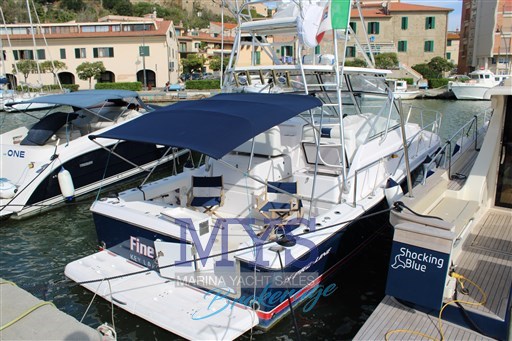 PROLINE 33 (9)