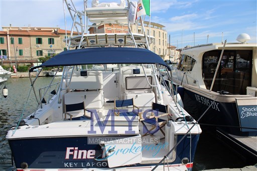 PROLINE 33 (11)