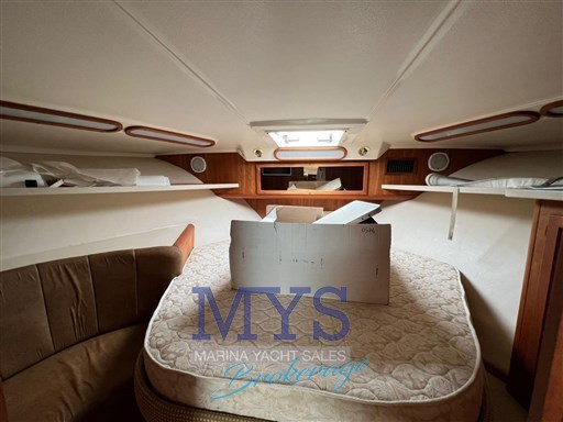 Luhrs 40 open