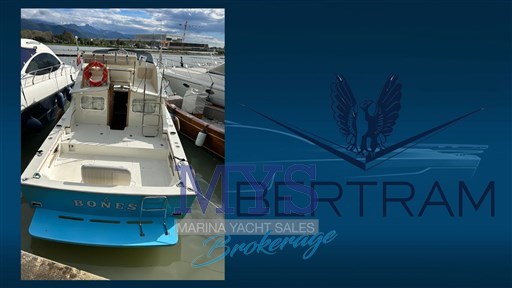 Bertram 28 Fly (12)