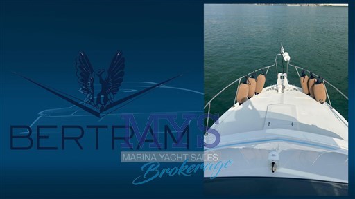 Bertram 28 Fly (8)