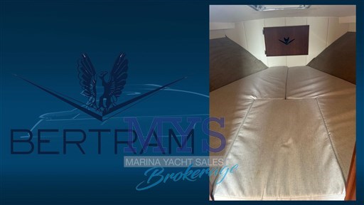 Bertram 28 Fly (5)
