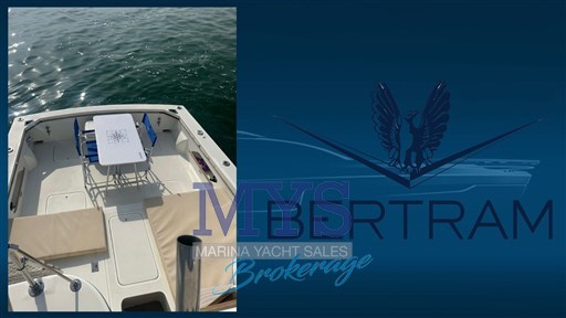 Bertram 28 Fly (9)