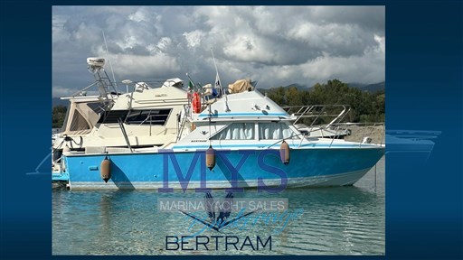 Bertram 28 Fly (1)