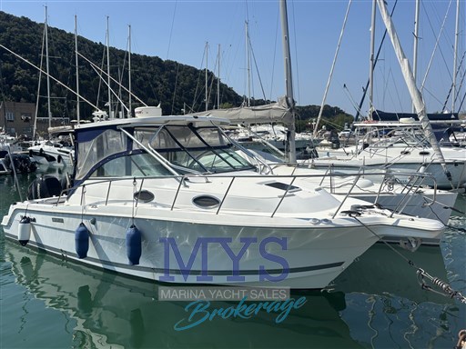 Wellcraft Marine 290 Coastal Fb