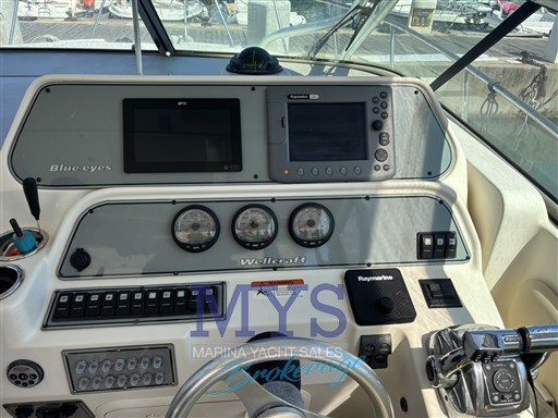 WELLCRAFT 290 (18)
