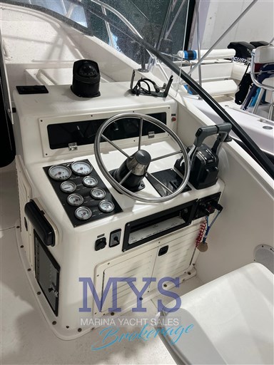 Mako 295 (30)