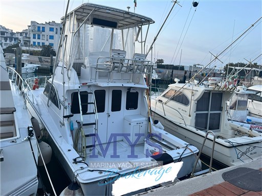 Luhrs 32 Fly (3)