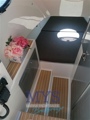 ALTAMAREA WAVE 35 (21)