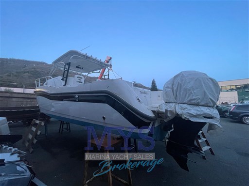 Boston Whaler 305 Conquest (1)