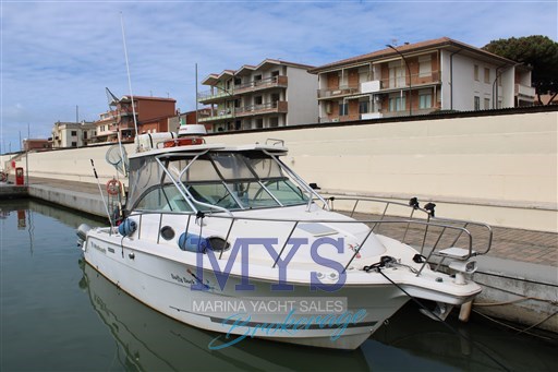 Wellcraft Marine 290 Coastal Fb