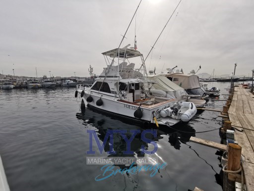 Blackfin 38 Convertible