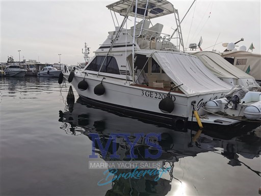 Blackfin 38 Profilo1.jpg