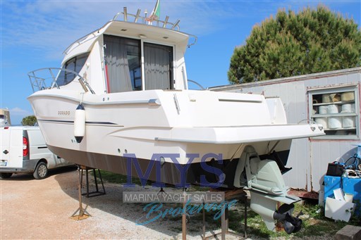 SESSA DORADO 26 (5)