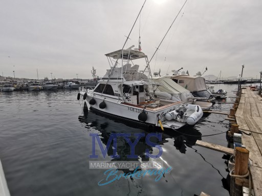 Blackfin 38 Convertible