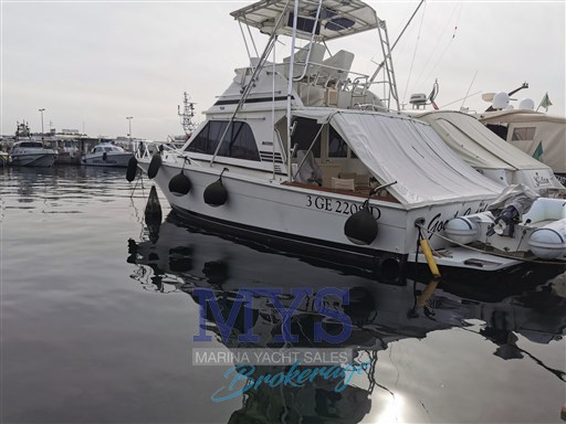 Blackfin 38 Profilo1.jpg