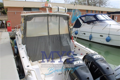 WELLCRAFT 290 (20)