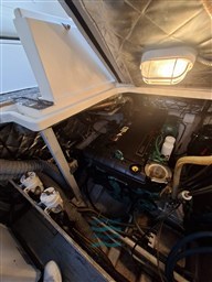 Fiart 42 Genius - 2006 (44)