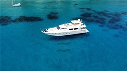 Technema 80 - 2000 (20)