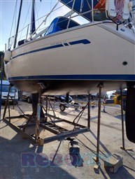 Immagine WhatsApp 2024-08-24 ore 10.44.19_71e7f5d5