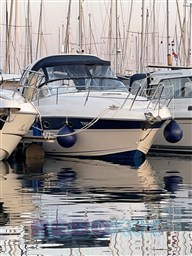 IMG_4031.jpg