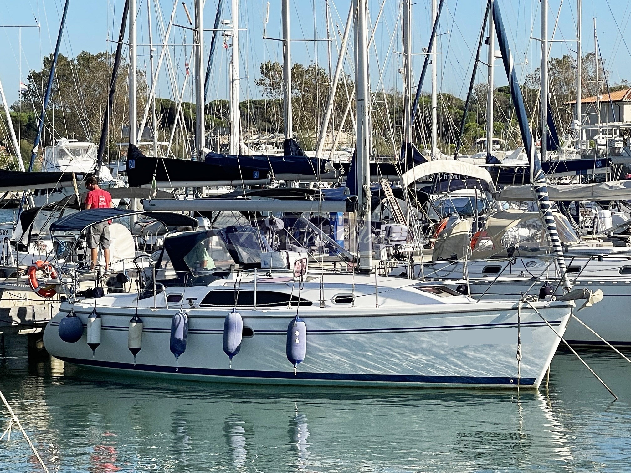 Catalina 309 (1)