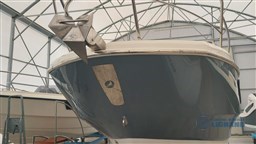 WhatsApp Image 2026-01-27 at 10.45.43 (1)