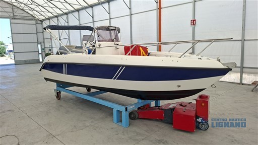 Bellingardo Lady 500