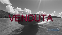 transparent-Photoroom - Copia