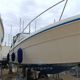 IMG-20260502-WA0024