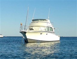 bertram-marine-union-usa-marine-union-bertram-38-fly-mk-3serie