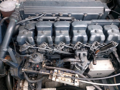 IMG-20251020-WA0038