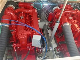 WhatsApp Image 2025-01-05 at 14.46.38 (10)